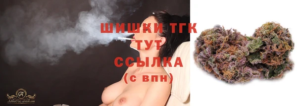 винт Тобольск